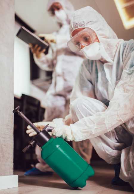 About Perth Cleaning Care — Your Local Pest Control Cleaning Specialists in Perth