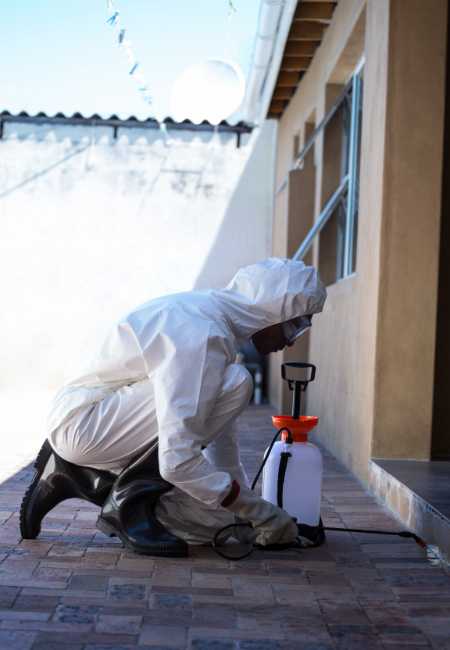 Professional Pest Control Cleaning Services Across Perth and All Surrounding Suburbs