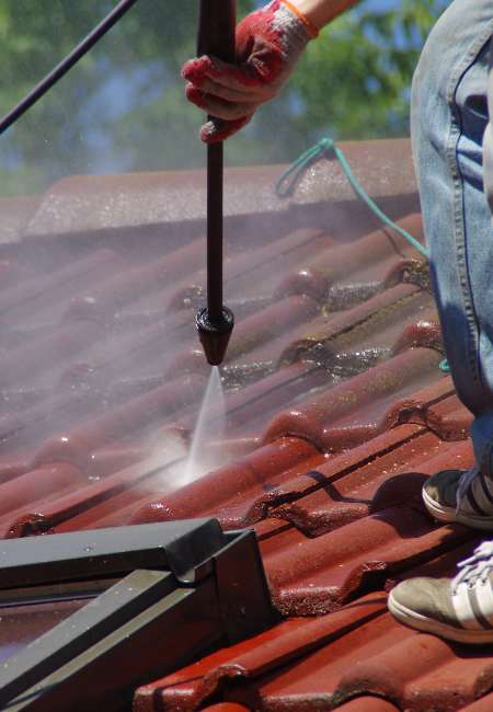 Professional Roof Cleaning Service in Perth