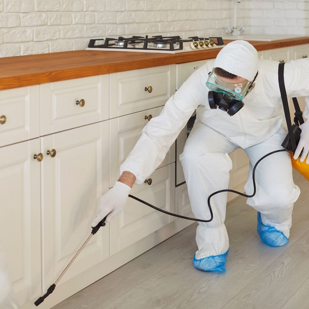 Pest Control Cleaning Services in Perth