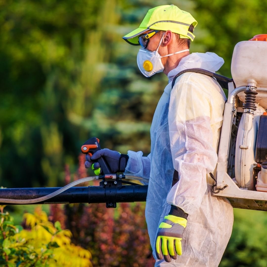 Reliable Pest Control Services in Perth, WA